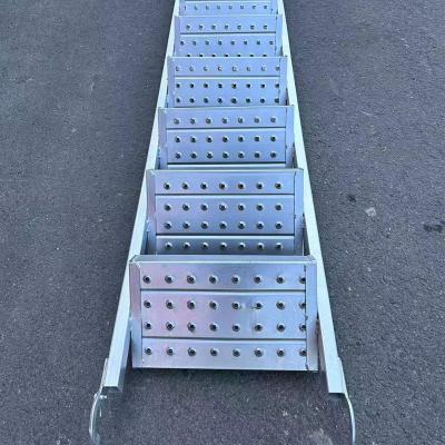 China Aluminum Scaffolding Ladders 3m Silver for Versatile Applications for sale