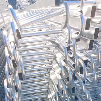 Chine Scaffolding System Ladder Silver Scaffolding Climbing Ladders For Customized à vendre