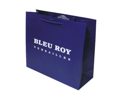 Китай Таможня Eco дружелюбная напечатала средние голубые бумажные сумки подарка в память о вечере с ручками продается