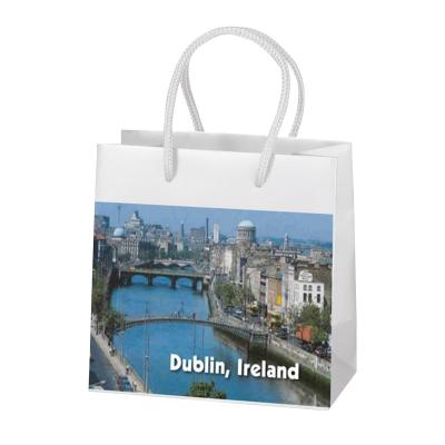 China Custom Branded Paper Advertising Bags Packaging With Design Printing Supplier for sale