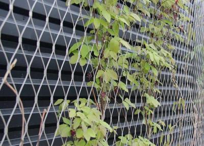 China X Tend Stainless Steel Cable Netting Wire Mesh Plant Trellis For Climbing Plants for sale