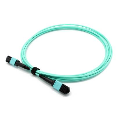 China 12 Fibers MTP Female To MTP Female OM3 3.0mm LSZH MTP Patch Cord Custom Meters for sale