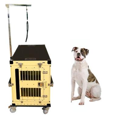 China Foldable Escape Proof Heavy Duty Steel Dog Crate 40