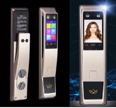 China Senha facial da impressão digital do fechamento de Smart da detecção do cartão de IC que Swiping a chave de cartão à venda