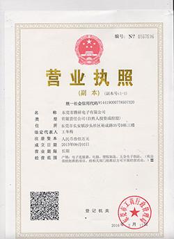 Business Licence - Dongguan Tengxiang Electronics Co., Ltd.