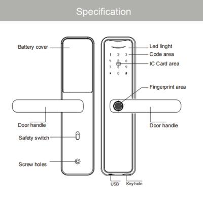 China Aluminum Alloy Safety Smart Fingerprint Door Lock For Home Apartment for sale