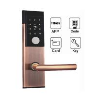 Cina 4 serrature di porta astute astute di chiavistello senza molla di scatto del TT della serratura di porta dell'appartamento di modi in vendita