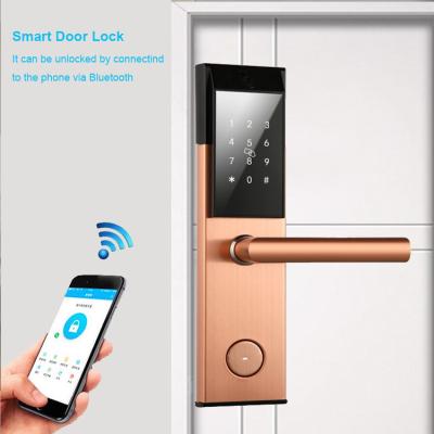 China Electronic WiFi App Sus304 Wifi Front Door Lock Smart Home Alkaline Batteries for sale