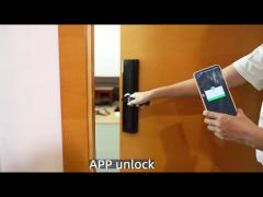 Smart Lock Manufacturers Electronic House Main Door Lock with Fingerprint and Passcode