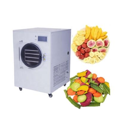 China Hotel Fruit Vegetable Food Vacuum Freeze Dryer Machine 0.1m2 750W for sale