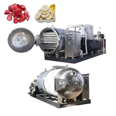 Multifunctional Vacuum Freeze Dryer Machine For Vegetable Fruit