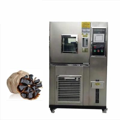 China High Efficiency100L Black Garlic Making Machine 380Volt Low Noise for sale