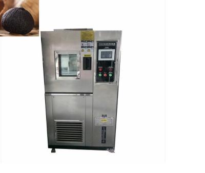 China 2000L automatizou o alho preto que faz a máquina o fermentador preto comercial do alho à venda