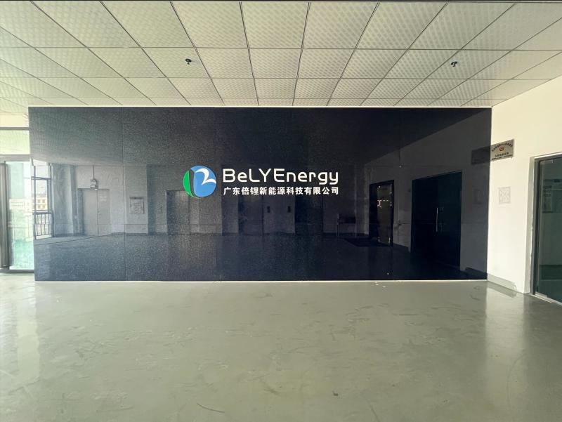 確認済みの中国サプライヤー - Shenzhen Bely Energy Technology Co., Ltd.