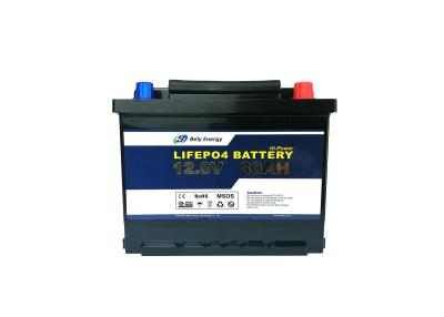 China litio profundo Ion Battery For Motorhome de la batería de litio del ciclo 1024Wh 12V 80AH en venta