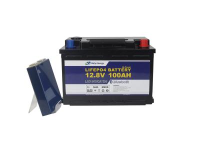 China Marine Led Light Lithium Battery-LEIDENE Vertoning Lifepo4 12V 100Ah Te koop
