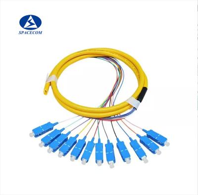 China 12F Optical Fiber Pigtail ,12 core Fiber Cable Patch Cord 1m sc lc for sale