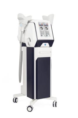 China Weight Loss Cryolipolysis Slimming Machine 6 Handles Fat Cooling Therapy for sale