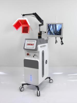 China 5 em 1 equipamento do salão de beleza da terapia do diodo da máquina 650nm do crescimento do cabelo do laser à venda