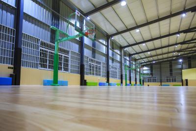 중국 에어로빅 체육관 PVC 스포츠 바닥 3.5 밀리미터 반대 약화 화려한 방수 판매용