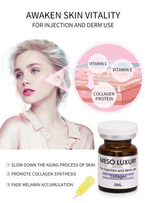 China Moisturizing Youth Serum Injection Collagen Anti Wrinkles Elastic Lifting Skin Serum for sale
