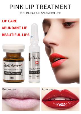 China Stalideram Brand Pink Lip Injection Treatment Serum Derma Microneedling Mesotherapy Lip Repair Essence for sale