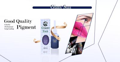 China GIANT SUN Semi Permanent Makeup Pigment / Original Tattoo Ink 20ml For Eyebrow Lip Tattoo à venda