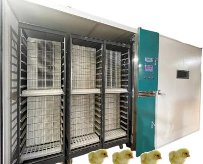 中国 Large Scale 19200 Automatic Egg Incubator Incubate The Ducks Gooses Pigeons 販売のため
