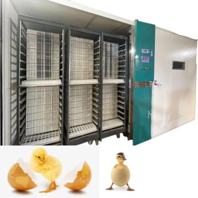 China Hatching Rate 98% Large Scale Automatic Chicken Egg Incubator 19200 for sale