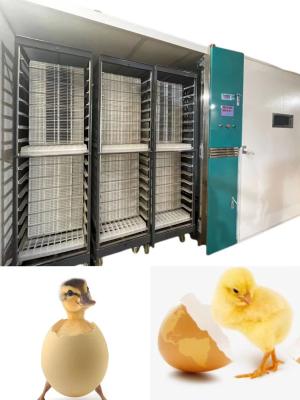 China Automatic Large Scale Chicken Egg Hatching Machine Hatching Rate 98% for sale