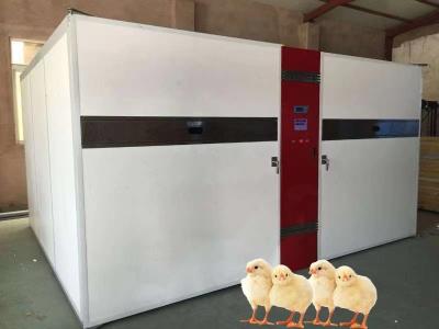 China Single Stage Incubator For Temperature Range 30-70°C & Humidity Range 30-90%RH for sale