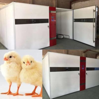 China LED Digital Display Chicken Hatching Machine 50kg for sale