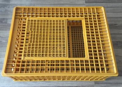 Chine Les accessoires de cage de poulet transportent la cage en plastique 732x534x260mm de poulet de volaille à vendre