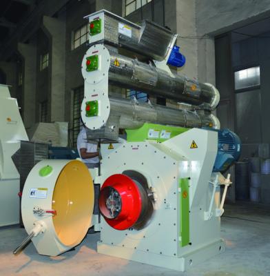 China Ringdie Belt Driven Pellet Mill Pellet Manufacturing Machine Poultry Feed Lines for sale