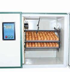 China 360 Degree Automatic Chicken Egg Incubator Hatchers Ventilated for sale