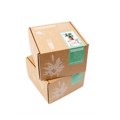 China Custom Printed Paper Corrugated Cardboard Grown Live Plant Shipping Box For Plant Packaging for sale