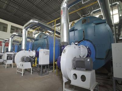 Chine Chaudière à vapeur commerciale automatique industrielle de pétrole de chaudière de gaz pour le moulin chimique à vendre