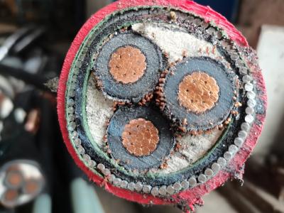 China Medium Voltage Power Cable IEC60502 BS6622 VDE N2xsery Yjv32 33kv Copper XLPE Insulated Swa Sta Armoured Cable Outdoor E for sale