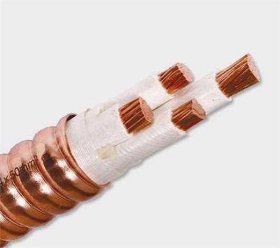 China Fire Resistant Cable Flexible Fireproof Cable and Copper Sheath Embossing Mineral Insulated Cable for sale