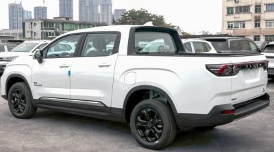 China 2023 NEW Model Electric Pickup Truck High Power Pickup Electric Cars RADAR RD6 for sale