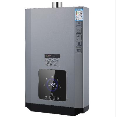 China Instant LP Gas Hot Water Heater For Bathroom 220V for sale