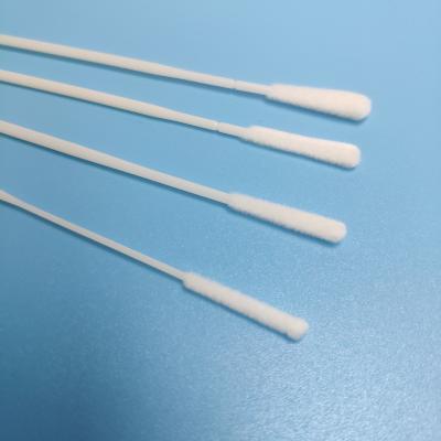 China Disposable Nylon Urethra Vaginal Female Gynecology Cervical Sterile Sampling Specimen Collection Swabs for sale