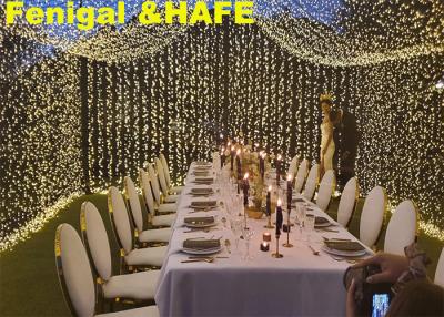 China 3m Party Wedding Lighting Strips IP46 Led Cluster Lights for sale
