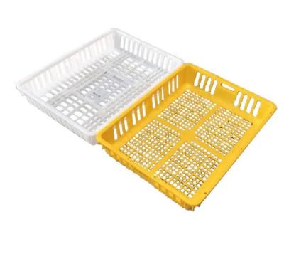 China Live Poultry Carrier Crate Broiler Plastic Cage 7-10 Chicken Capacity for sale