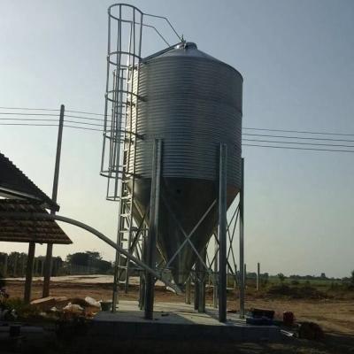 Chine Silos de stockage automatiques d'alimentation animale de silo d'alimentation de volaille de poubelle de grain d'une tonne à vendre