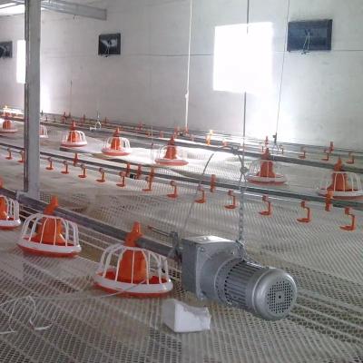 China Sistema automático de la entrerrosca del alimentador de la cacerola del sistema de alimentación de los pollos de engorde del piso en aves de corral en venta