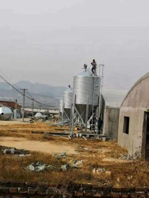 中国 2.7 トンの鶏の飼料サイロ養鶏場のための動物飼料の貯蔵サイロ 販売のため