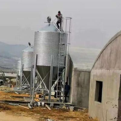 China Silo de alimentación de aves de corral de 33,5 toneladas, sistema de alimentación de silo de aves de corral para granjas en venta