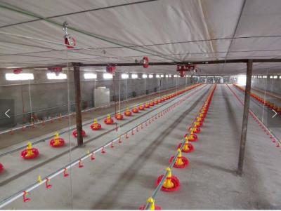 China Broiler Automatic Pan Feeding System 2.2KW Automatic Water System For Chickens for sale