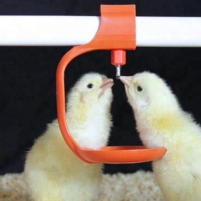 Chine Buveur de mamelon de caille en acier inoxydable ABS Système de buveur de mamelon de poulet à vendre